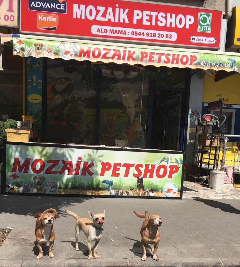 mosaic Petshops