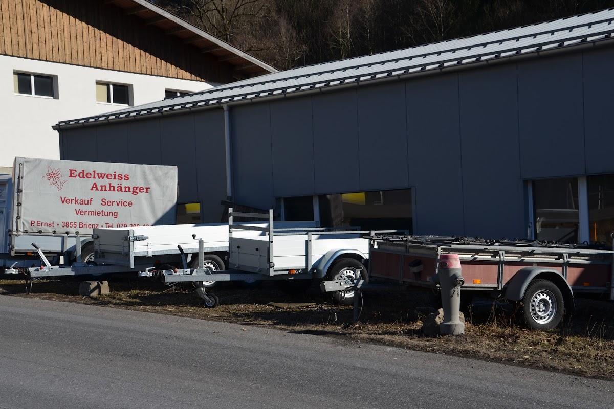 Edelweiss Anhänger, Peter ERNST