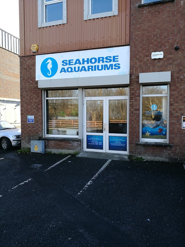 Seahorse Aquariums Galway