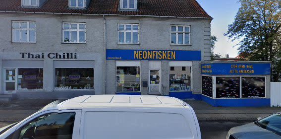 Neonfisken