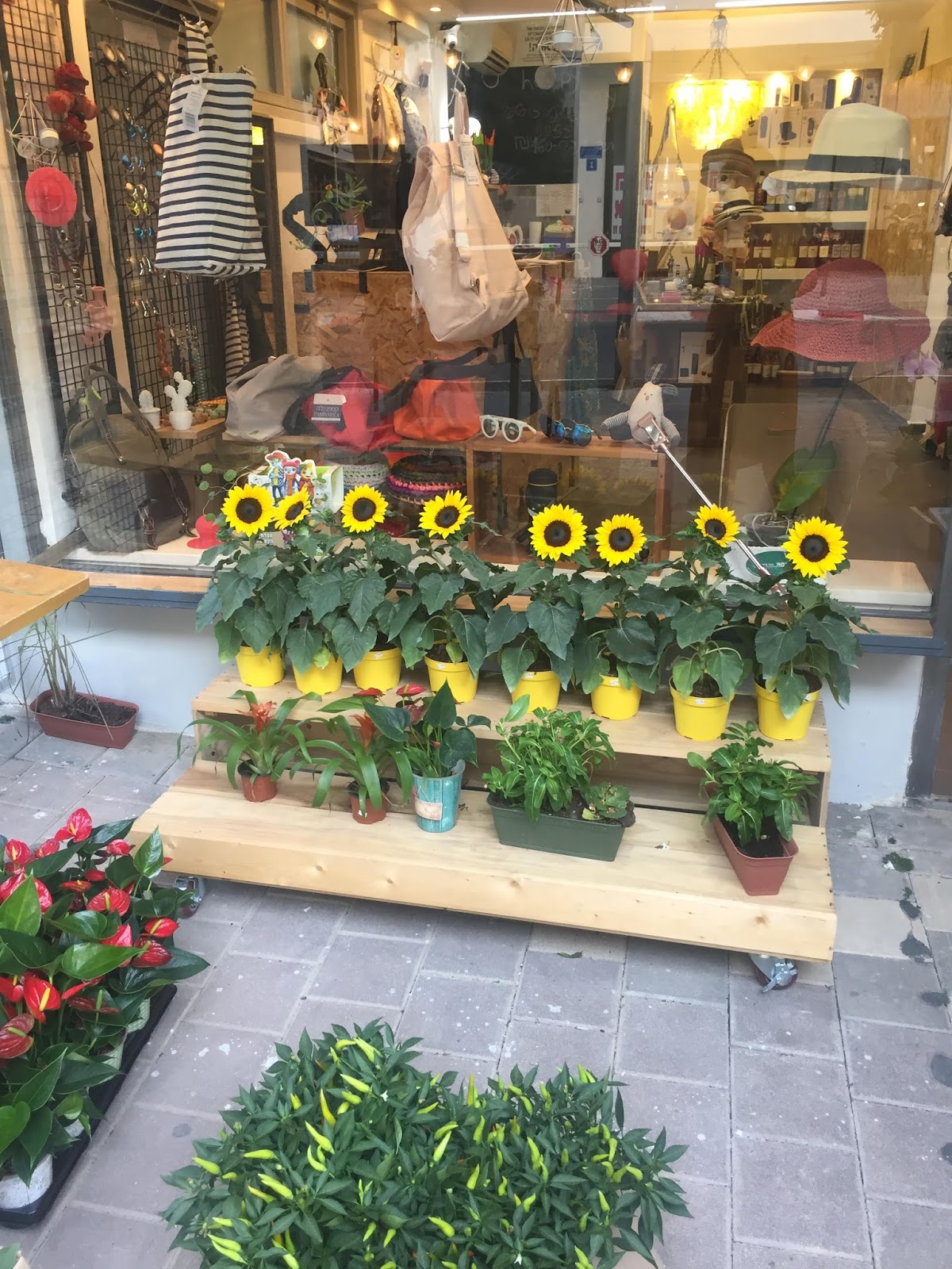 Concept Store