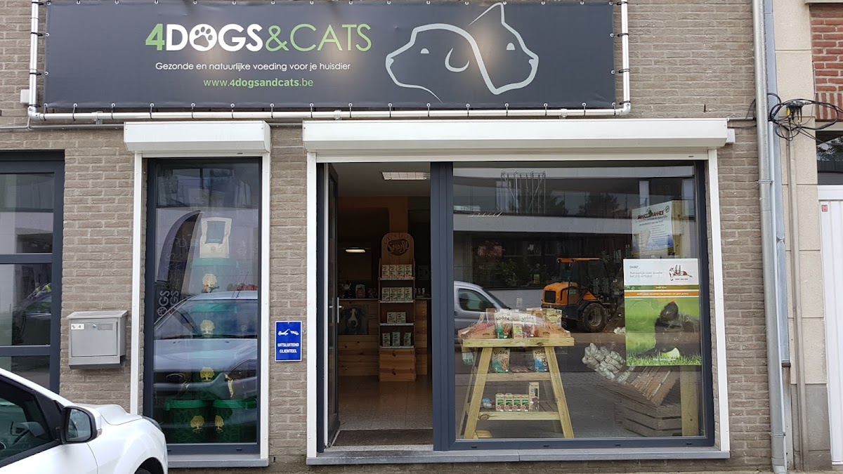 4dogsandcats