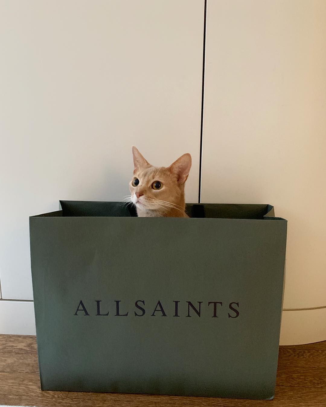 AllSaints