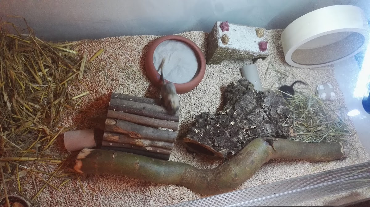 Zoofachgeschäft Schweuneke