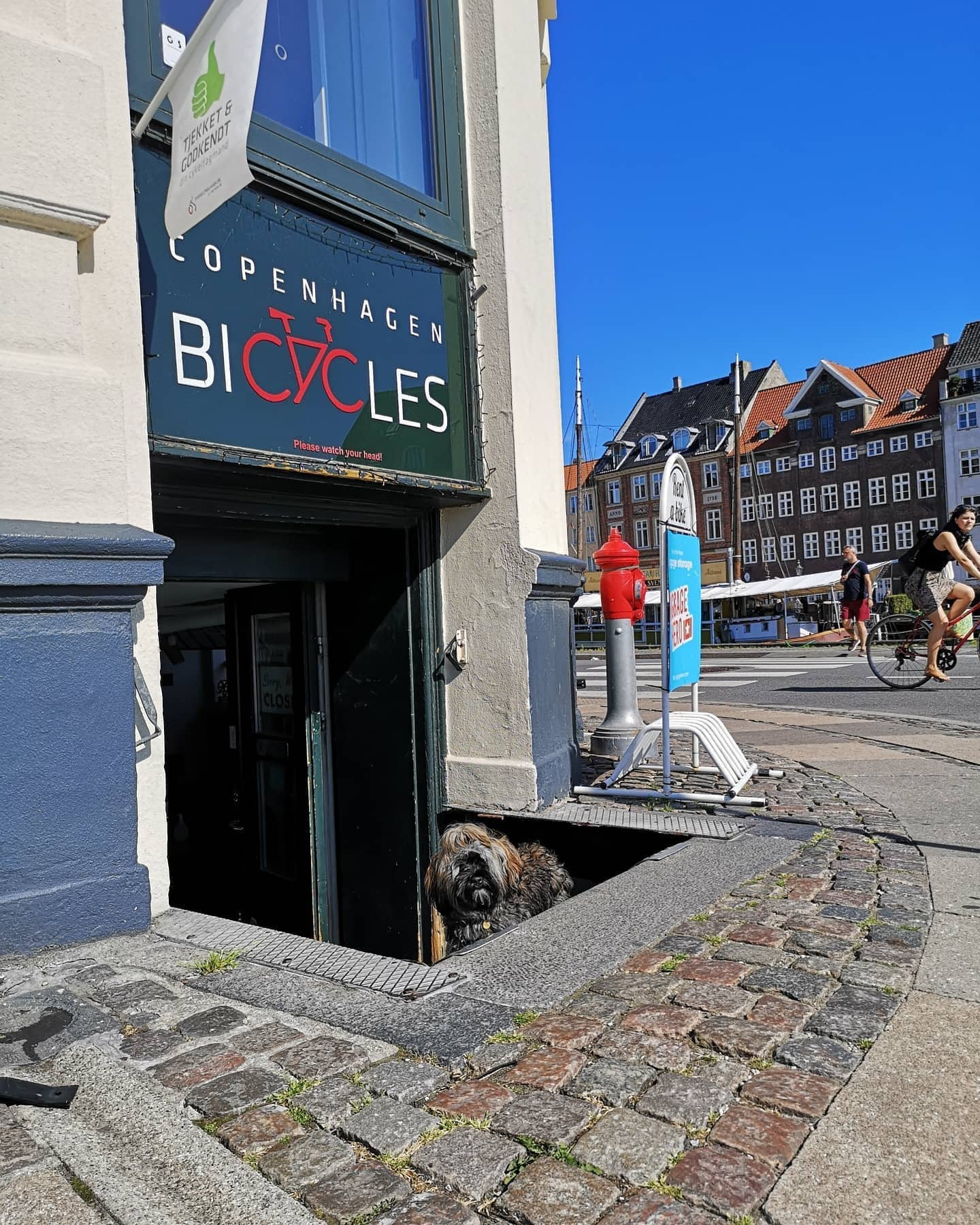 Copenhagen Bicycles