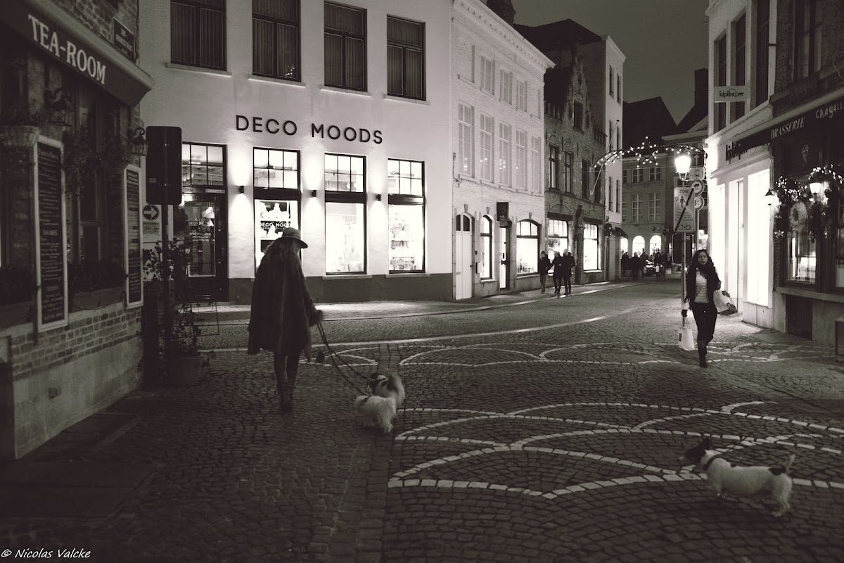 Deco Moods Brugge