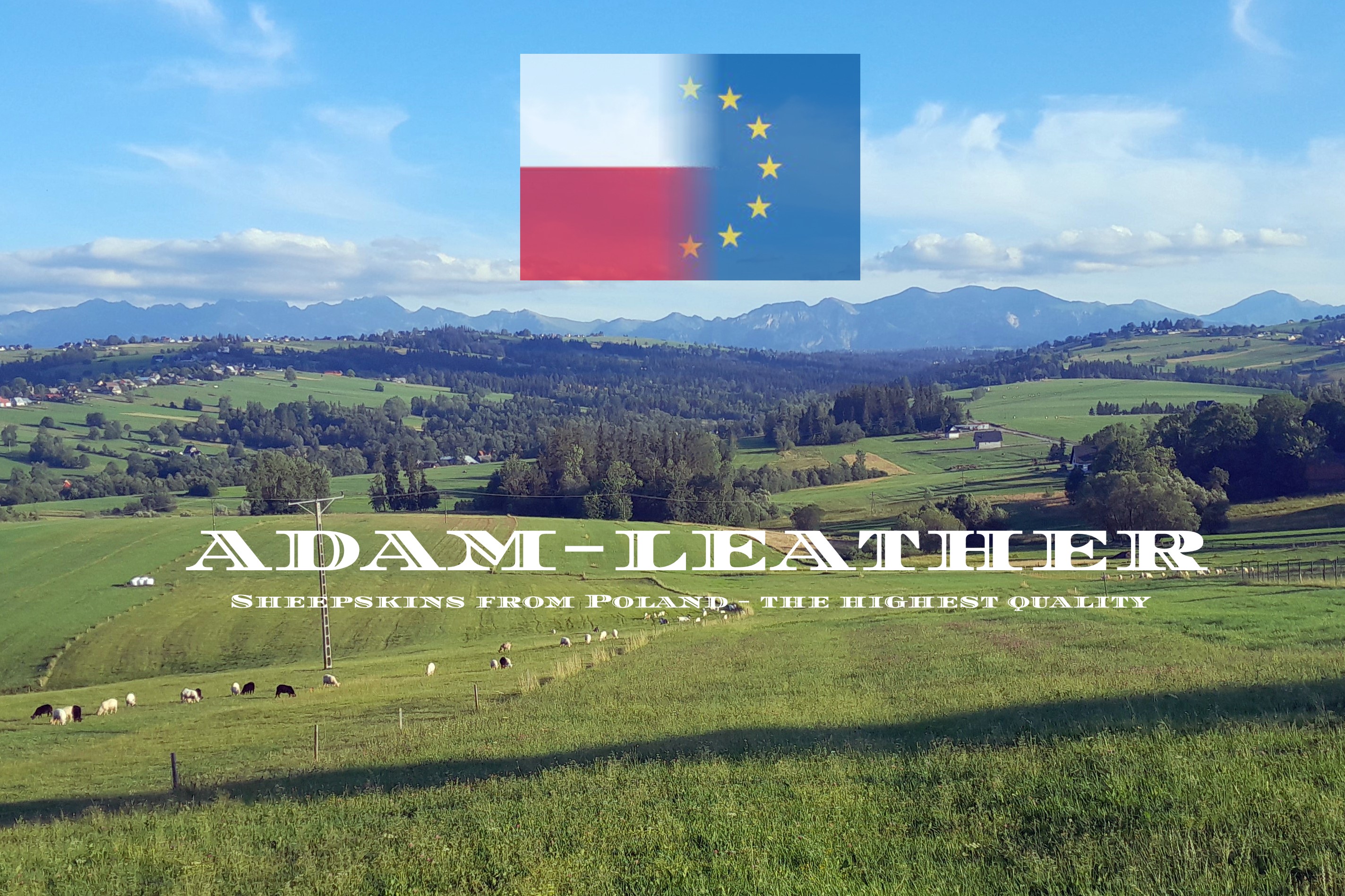 Adam Leather- Tannery Poland 