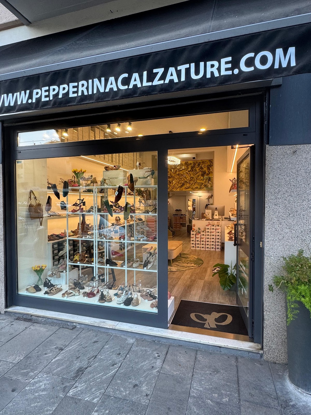Pepperina shoes