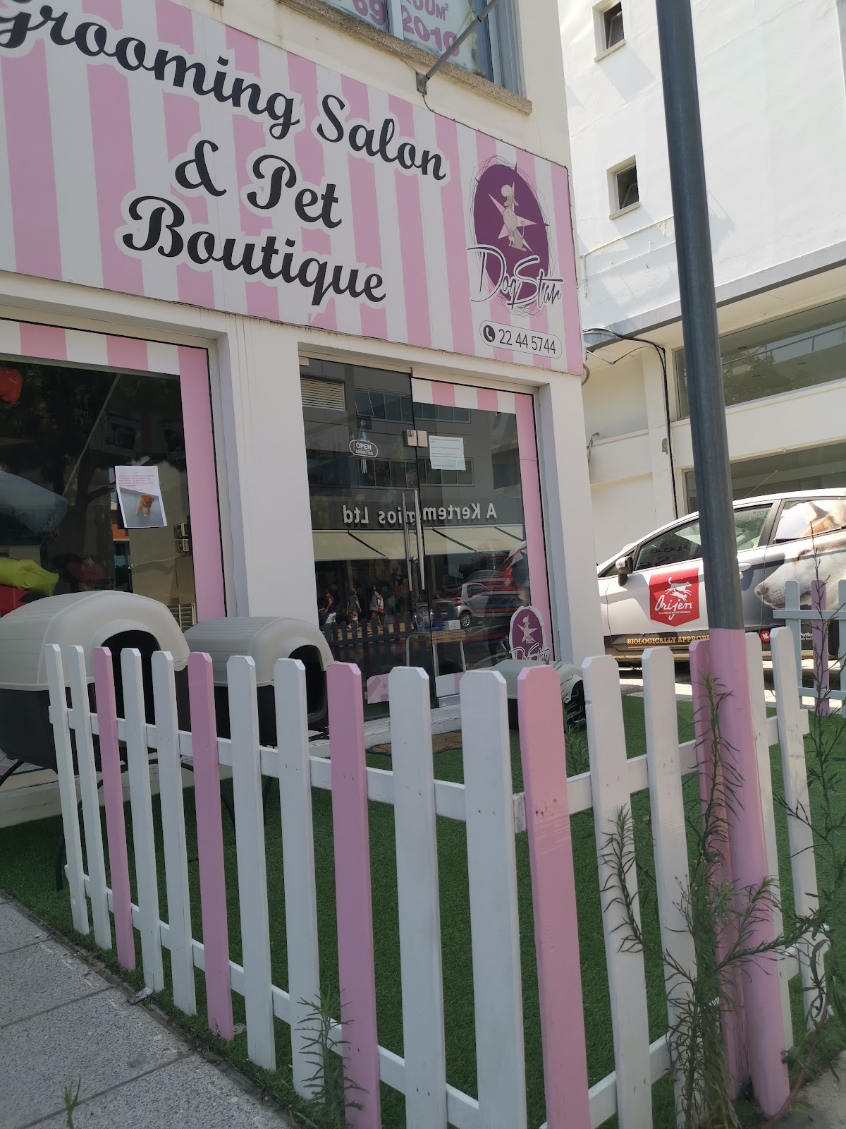 Dog Star Grooming and Pet Shop