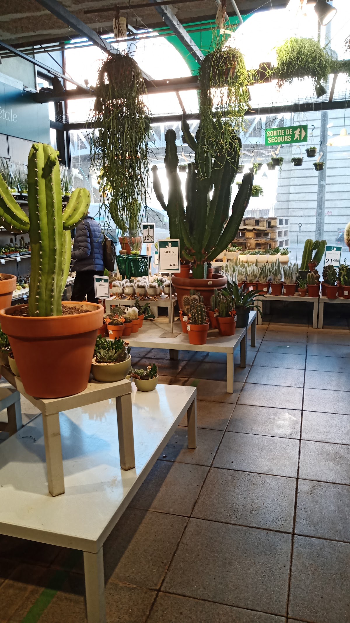 Jardinerie Truffaut Paris