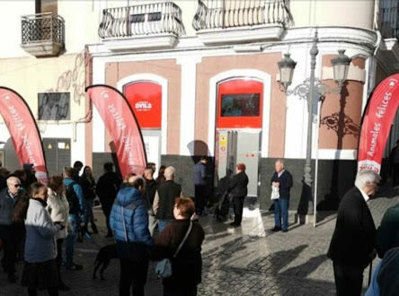 Mascotas Ávila Cádiz Centro