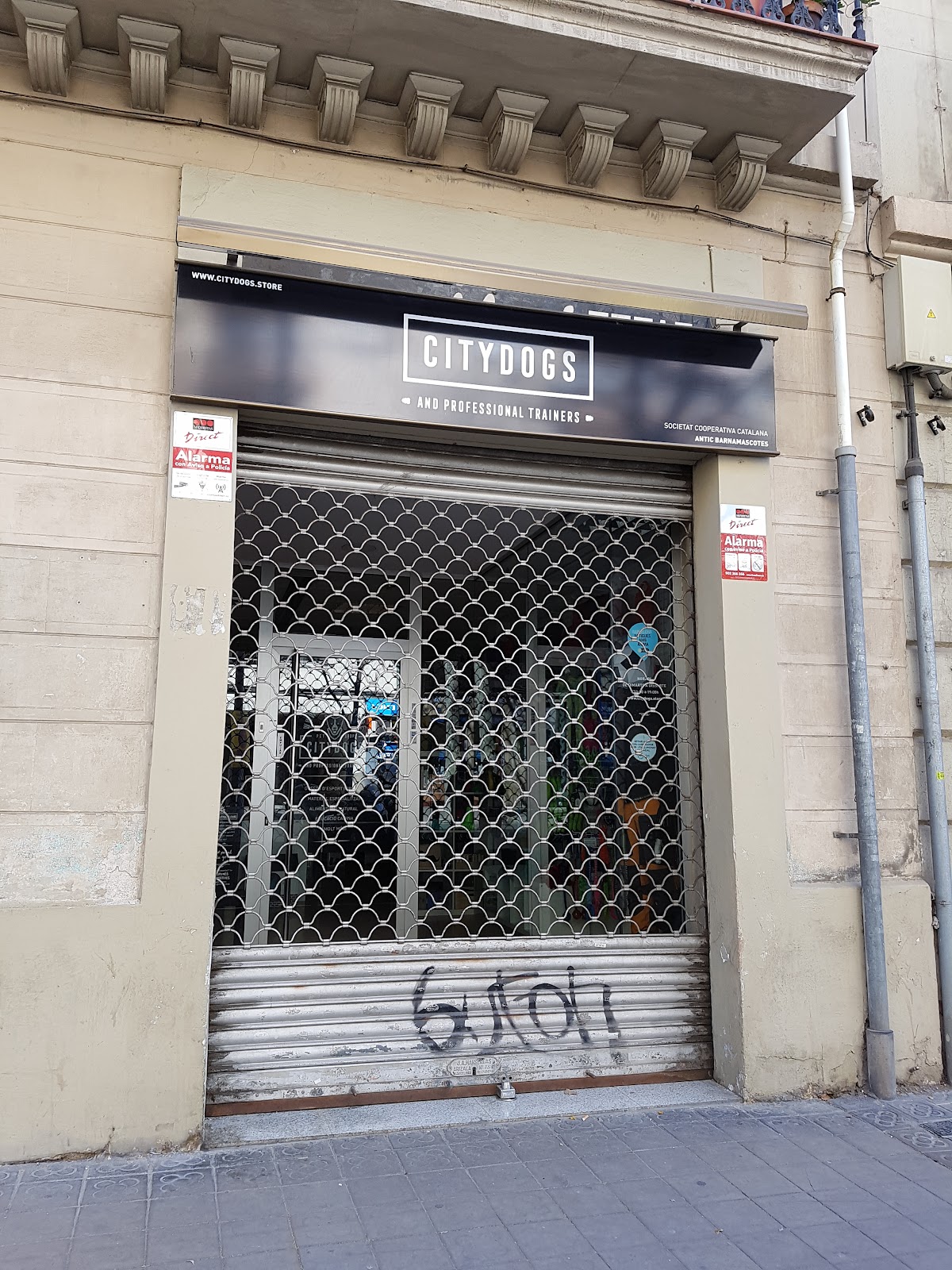 CityDogs Store