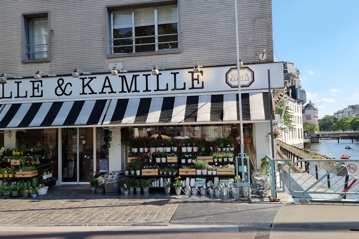 Dille & Kamille - Gent