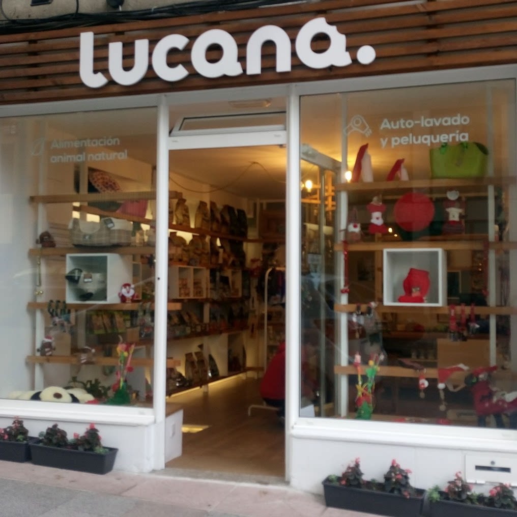 Lucana