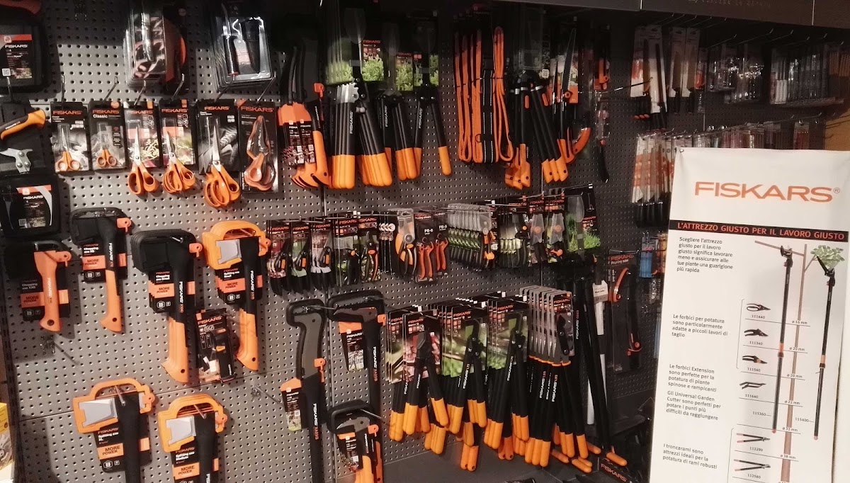 Survival Shop Daniel Soana