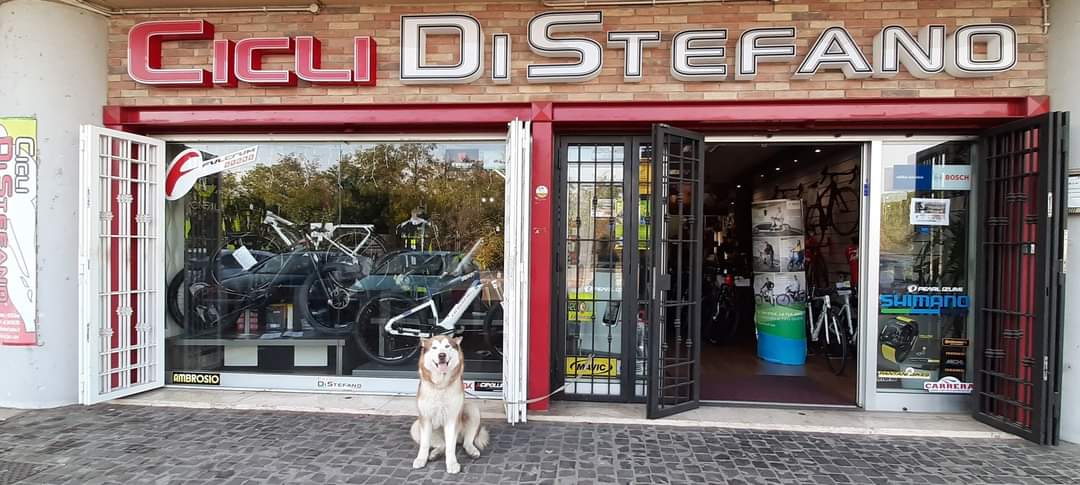 Cicli Di Stefano