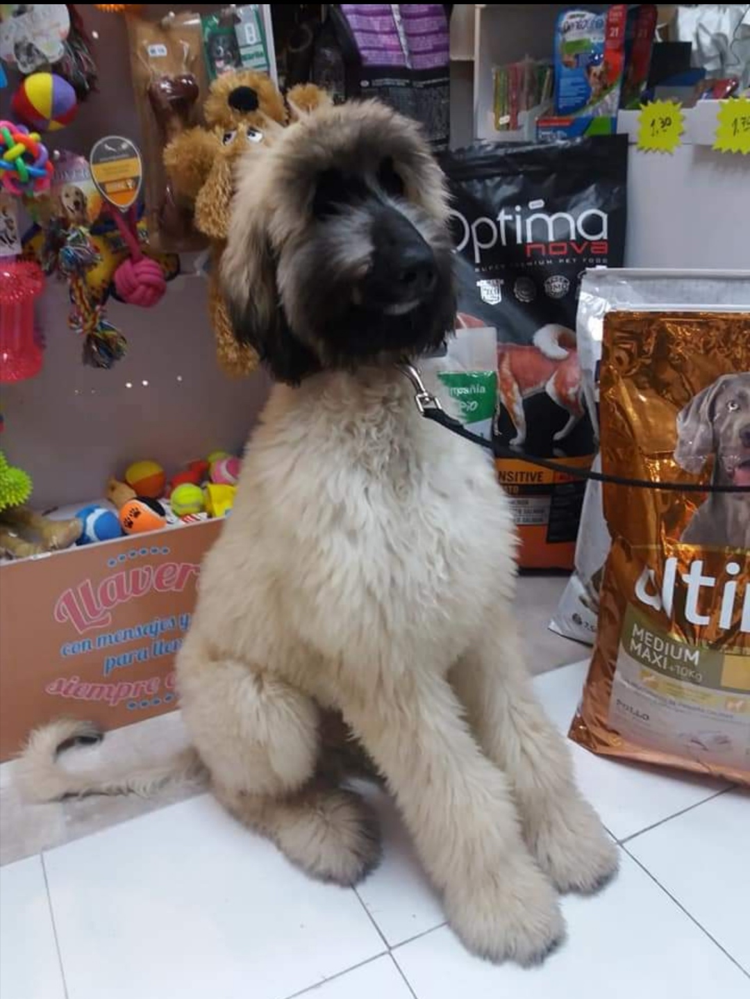 Turilo Pet Shop